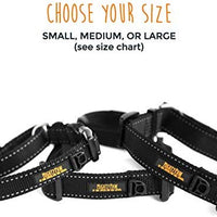 Collar de entrenamiento de nailon Mighty Paw Martingale. Nuestro collar de zapatillas de entrenamiento aprobado limitado. Collar de cincha modificado para una fuerza controlada para un entrenamiento óptimo. Costuras reflectantes para mantener a tu perro s - BESTMASCOTA.COM