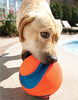 Chuckit Kick Fetch Toy Ball for Dogs - BESTMASCOTA.COM