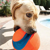 Chuckit Kick Fetch Toy Ball for Dogs - BESTMASCOTA.COM