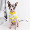 Sphynx - Camisetas de algodón para mascotas con cuello redondo, sin mangas, para gatos y perros pequeños - BESTMASCOTA.COM