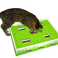 Petstages Grass Patch Hunting and Play Box Cat Ball Toy - BESTMASCOTA.COM