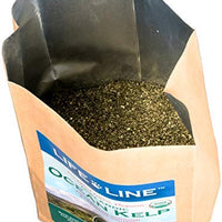 Life Line Pet Nutrition Organic Ocean Kelp Supplement for Skin & Coat, Digestion, Teeth & Gums in Dogs & Cats, 8-Ounce - BESTMASCOTA.COM