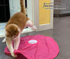 Blackhole Catch The Tail - Juguete para gato - BESTMASCOTA.COM