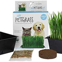 Handy Pantry Organic Cat Grass Kit - BESTMASCOTA.COM
