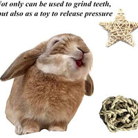 VCZONE - Juguetes para masticar conejo con forma de conejo y dientes de mascota de masticar juguetes orgánicos de manzana natural para conejos, chinchilla, cobayas, hámsters molienda de dientes - BESTMASCOTA.COM