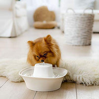 IPETTIE Tritone - Fuente de agua de cerámica para mascotas, ultra silenciosa, mejor que el plástico, fuentes de agua para gatos y perros, dispensador de agua para mascotas con filtros de repuesto y espuma - BESTMASCOTA.COM