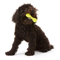 Juguete de hueso de perro, masticable West Paw Diseño Zogoflex Hurley, duro - BESTMASCOTA.COM