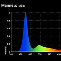 NICREW Luz de acuario de agua salada, luz LED marina para tanques de arrecife de coral, temporizador de 2 canales incluido - BESTMASCOTA.COM