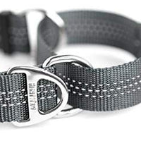 Collar de entrenamiento de nailon Mighty Paw Martingale. Nuestro collar de zapatillas de entrenamiento aprobado limitado. Collar de cincha modificado para una fuerza controlada para un entrenamiento óptimo. Costuras reflectantes para mantener a tu perro s - BESTMASCOTA.COM