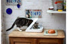 SureFeed Microchip Comedero para mascotas - BESTMASCOTA.COM