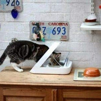 SureFeed Microchip Comedero para mascotas - BESTMASCOTA.COM