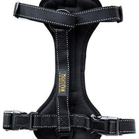 Arnés de seguridad para vehículo para perro Mighty Paw, con correas acolchadas ajustables, sirve como arnés para pasear el perro con su amarre para correa. - BESTMASCOTA.COM