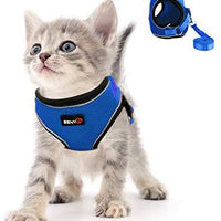 Kamots Beauty - Arnés y correa ajustables para perro y gato, malla suave con correa reflectante para pasear a mascotas pequeñas - BESTMASCOTA.COM