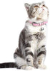Lumimi - Collar para gato, collar para cachorro, piel auténtica, longitud ajustable, fácil de limpiar, duradero y seguro, incluye cascabel y perforador, multicolor - BESTMASCOTA.COM