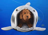 Grey Shark Bed for Small Cat Dog Cave Bed With  Removable Cushion,waterproof Bottom - BESTMASCOTA.COM
