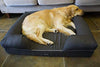 LOAOL - Colchón ortopédico para cama de mascotas, de espuma viscoelástica, resistente al agua, 4 pulgadas, con funda intercambiable - BESTMASCOTA.COM