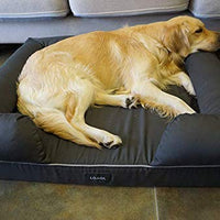 LOAOL - Colchón ortopédico para cama de mascotas, de espuma viscoelástica, resistente al agua, 4 pulgadas, con funda intercambiable - BESTMASCOTA.COM