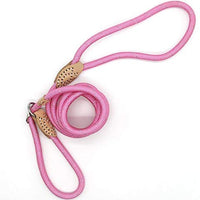 Correa Coolrunner collar de entrenamiento para mascota de Cesar el encantador de perros - BESTMASCOTA.COM
