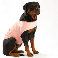 Furubaby Ansiety - Abrigo para perro con camisa, para perros pequeños, medianos, grandes, XL, color sólido, azul, gris, verde, rosa, rosa (rosa) - BESTMASCOTA.COM