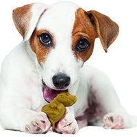 Comidas saludables Nylabone, golosinas masticables para perros de hasta 20 libras - BESTMASCOTA.COM