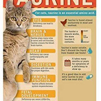 catmandoo bonito Copos Pet Treat, Extragrande) 2pk - BESTMASCOTA.COM