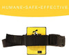 Downtown – Kit para mascotas con cuello de citronela en spray, antiladrillos para perros – Collar seguro y eficaz y con control de ladridos para perros - BESTMASCOTA.COM