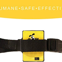 Downtown – Kit para mascotas con cuello de citronela en spray, antiladrillos para perros – Collar seguro y eficaz y con control de ladridos para perros - BESTMASCOTA.COM