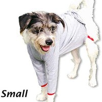 Camiseta de protección post operatoria para perros, mejor que el cono La alternativa más cómoda para recuperación. - BESTMASCOTA.COM