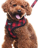 PUPTECK Arnés de malla suave para perro con correa – Chaleco de paseo acolchado a cuadros ajustable para cachorro sin arneses – Chaleco para mascotas - BESTMASCOTA.COM