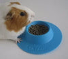 staybowl tip-proof ergonómico Pet Bowl para Conejillo de Indias y otros pequeños mascotas; 1/4-Cup Tamaño; Cielo Azul - BESTMASCOTA.COM