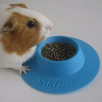 staybowl tip-proof ergonómico Pet Bowl para Conejillo de Indias y otros pequeños mascotas; 1/4-Cup Tamaño; Cielo Azul - BESTMASCOTA.COM