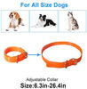 ETPET - Correa para collar de perro para la mayoría de los receptores de entrenamiento electrónico de choque, correa impermeable ajustable y duradera de repuesto para collar de ladrido, valla, mascota, correa de TPU - BESTMASCOTA.COM