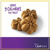 Fruitables Pumpkin & Banana Natural Dog Biscuits - BESTMASCOTA.COM