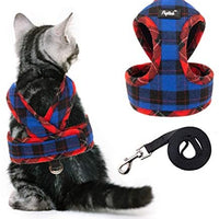 PUPTECK X-Figura Arnés para gato con correa – cuello ajustable a prueba de escape, chaqueta de malla para gatitos, cachorros - BESTMASCOTA.COM