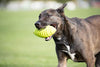 Juguete para perro Nerf de goma - BESTMASCOTA.COM