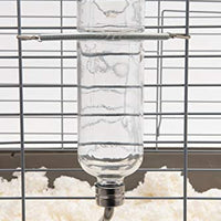 Lixit Chew Proof Glass Water Bottles for Small Animals - BESTMASCOTA.COM