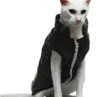 PAWCHIE - Chaqueta de invierno para perros y gatos pequeños, chaquetas de plumón suave, resistente al viento, abrigo cálido para gatos, cachorros en días fríos - BESTMASCOTA.COM