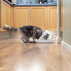 SureFeed Microchip Comedero para mascotas - BESTMASCOTA.COM
