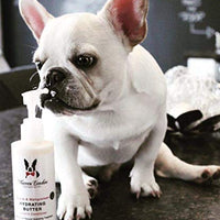 Warren London Acondicionador hidratante de mantequilla para perros piel y abrigo – 2 aromas – 8 oz y 1 galón - BESTMASCOTA.COM
