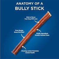 Barkworthies Odor-Free Bully Sticks - Healthy Dog Chews - Protein-Packed, Highly Digestible, All-Natural Rawhide Alternative Dog Treats - Promotes Dental Health - BESTMASCOTA.COM