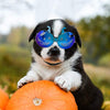 Enjoying Dog Goggles - Small Dog Sunglasses Waterproof Windproof UV Protection for Doggy Puppy Cat - BESTMASCOTA.COM