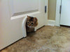 Cat Door Puerta de Interior con cepillo de limpieza para gatos - BESTMASCOTA.COM