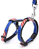 Fancy Finca collares para gatos y mascotas, correas ajustables, para cachorros, caminar, entrenamiento, correr, senderismo, 2 juegos - BESTMASCOTA.COM