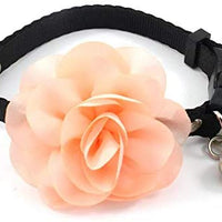 PetFavorites - Collar de corbata para mascotas, gato con colgante de campana, para mascotas, gatos - BESTMASCOTA.COM