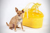 Iris Animal Carrier - BESTMASCOTA.COM