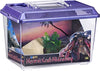 Lee's Hermit Crab Hideaway - BESTMASCOTA.COM