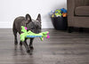 GoDog Skinny Dragons con protector para masticar, juguetes para perros de peluche duraderos con chirriadores - BESTMASCOTA.COM