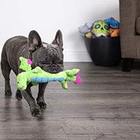 GoDog Skinny Dragons con protector para masticar, juguetes para perros de peluche duraderos con chirriadores - BESTMASCOTA.COM