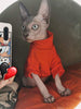 Sphynx - Ropa de invierno para gato, gruesa, de algodón, de doble capa, para mascotas, jersey, camisetas con mangas, pijamas para gatos y perros pequeños - BESTMASCOTA.COM