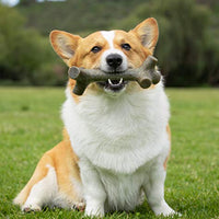 Pet Qwerks BarkBone - BESTMASCOTA.COM